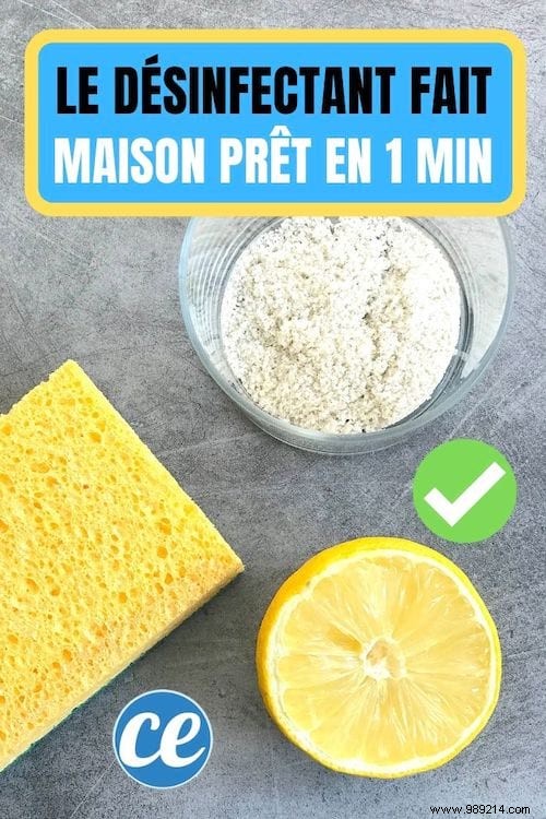Grandma s Secret: 100% Natural Homemade Disinfectant with Lemon and Salt – Ready in 1 Minute