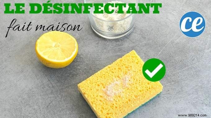 Grandma s Secret: 100% Natural Homemade Disinfectant with Lemon and Salt – Ready in 1 Minute