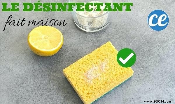 Grandma s Secret: 100% Natural Homemade Disinfectant with Lemon and Salt – Ready in 1 Minute