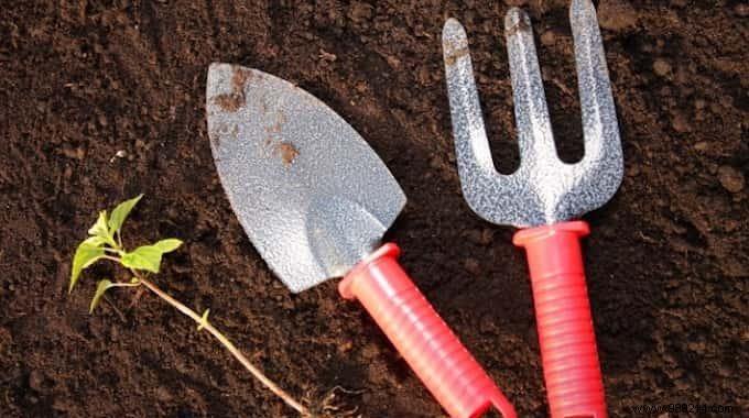 20 Proven Gardening Tips to Transform Your Garden Effortlessly