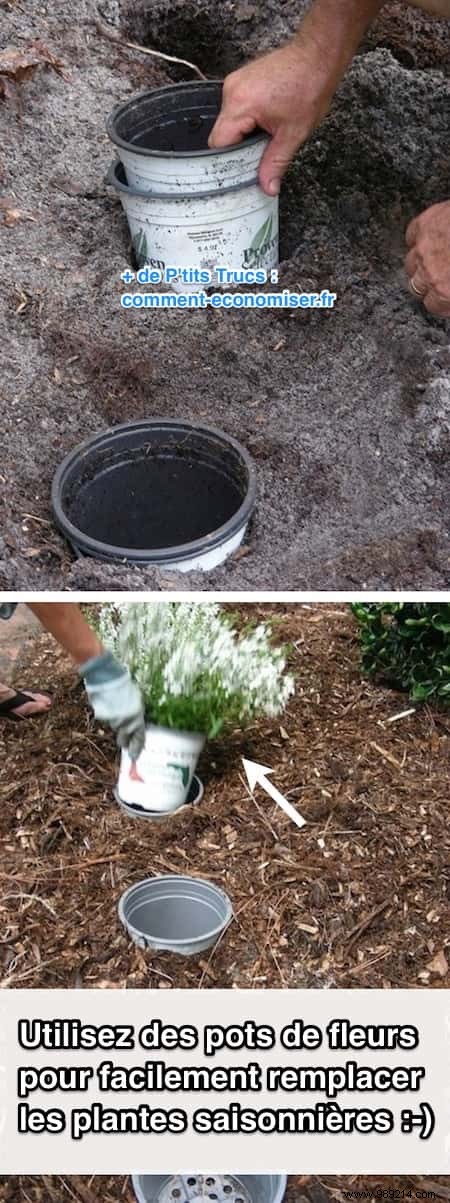 20 Proven Gardening Tips to Transform Your Garden Effortlessly