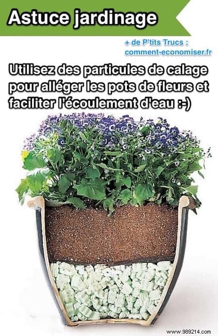 20 Proven Gardening Tips to Transform Your Garden Effortlessly