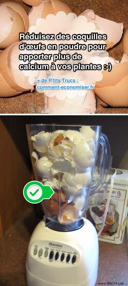 20 Proven Gardening Tips to Transform Your Garden Effortlessly