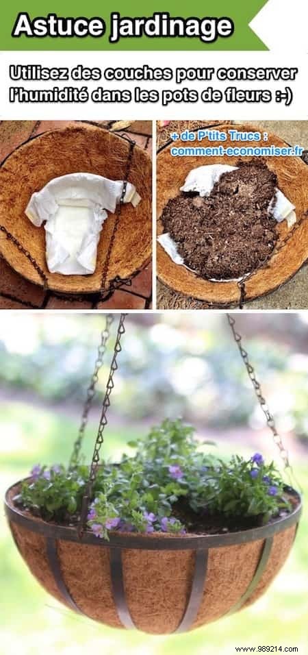 20 Proven Gardening Tips to Transform Your Garden Effortlessly