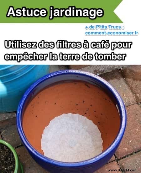 20 Proven Gardening Tips to Transform Your Garden Effortlessly