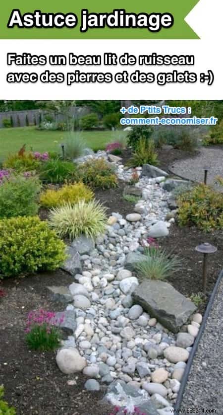 20 Proven Gardening Tips to Transform Your Garden Effortlessly