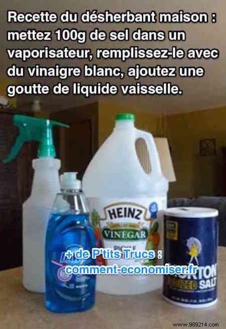 20 Proven Gardening Tips to Transform Your Garden Effortlessly