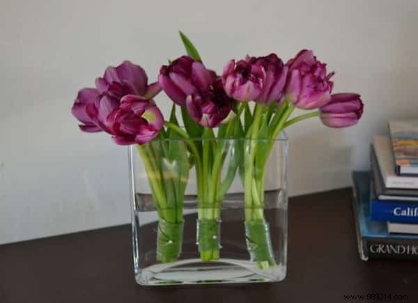 47 Genius Rubber Band Hacks: Practical Solutions for Home, Kitchen, and Crafts