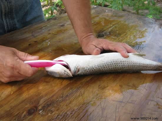 26 Genius Ways to Repurpose Your Old Toothbrush: Proven Cleaning Hacks