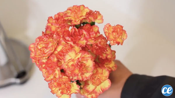 10 Proven White Vinegar Hacks for Eco-Friendly Home Cleaning