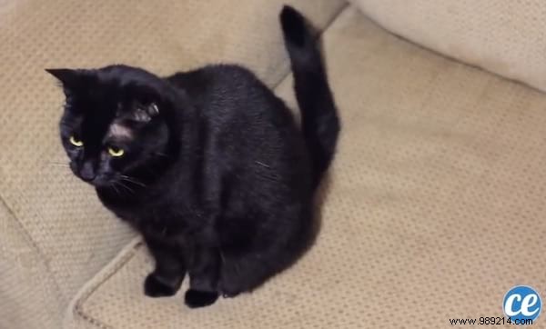 10 Proven White Vinegar Hacks for Eco-Friendly Home Cleaning