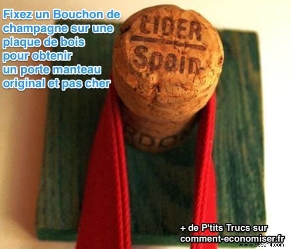 100 Everyday Items You Never Need to Buy Again: Proven DIY Hacks for Savings, Health, and Sustainability