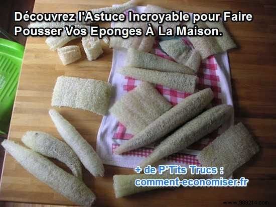 100 Everyday Items You Never Need to Buy Again: Proven DIY Hacks for Savings, Health, and Sustainability