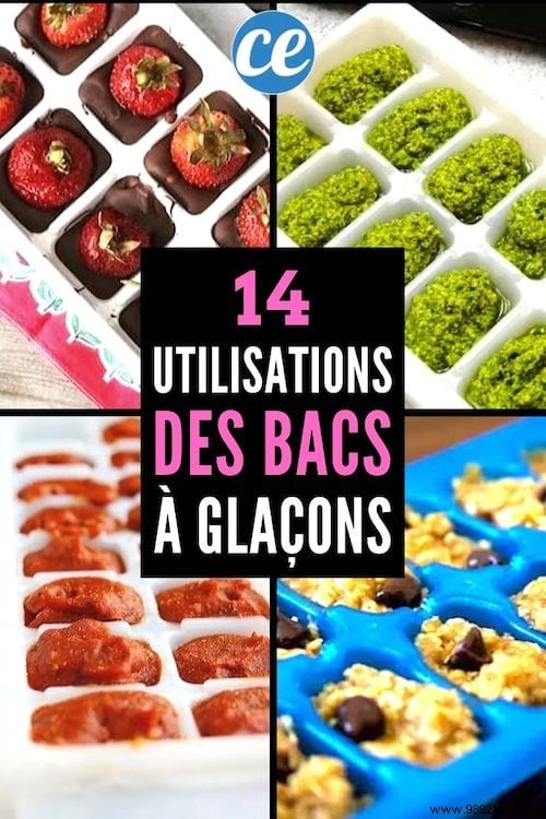 14 Genius Ways to Use Ice Cube Trays in Your Kitchen