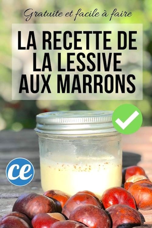 How to Make Natural Horse Chestnut Laundry Detergent: Free, Easy DIY Recipe