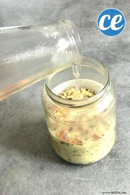 How to Make Natural Horse Chestnut Laundry Detergent: Free, Easy DIY Recipe