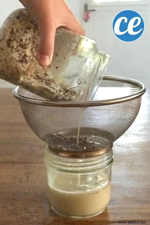 How to Make Natural Horse Chestnut Laundry Detergent: Free, Easy DIY Recipe