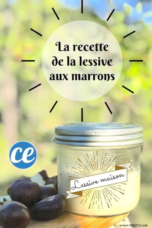 How to Make Natural Horse Chestnut Laundry Detergent: Free, Easy DIY Recipe