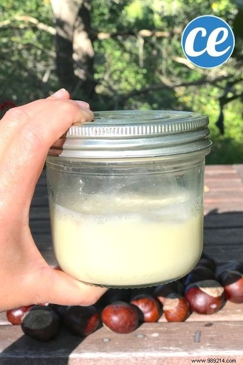 How to Make Natural Horse Chestnut Laundry Detergent: Free, Easy DIY Recipe