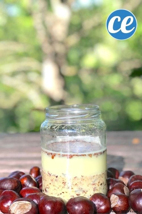 How to Make Natural Horse Chestnut Laundry Detergent: Free, Easy DIY Recipe