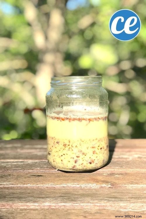 How to Make Natural Horse Chestnut Laundry Detergent: Free, Easy DIY Recipe