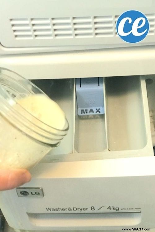 How to Make Natural Horse Chestnut Laundry Detergent: Free, Easy DIY Recipe