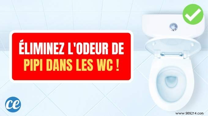 Natural Way to Eliminate Stubborn Urine Odors from Your Toilet