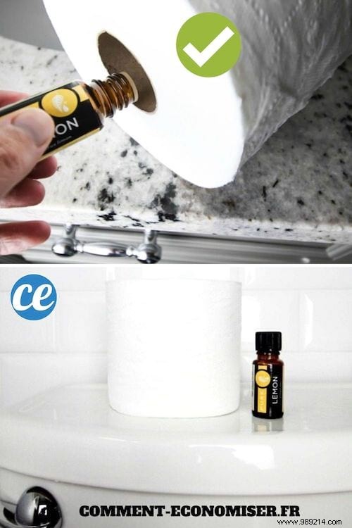 10 Proven Tips for Spotless, Fresh-Smelling Toilets Every Time