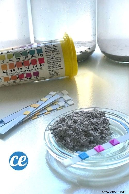 11 Proven Uses for Wood Ash: Cleaning Hacks and Gardening Tips