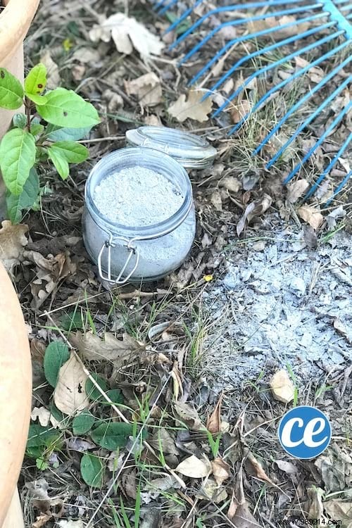 11 Proven Uses for Wood Ash: Cleaning Hacks and Gardening Tips