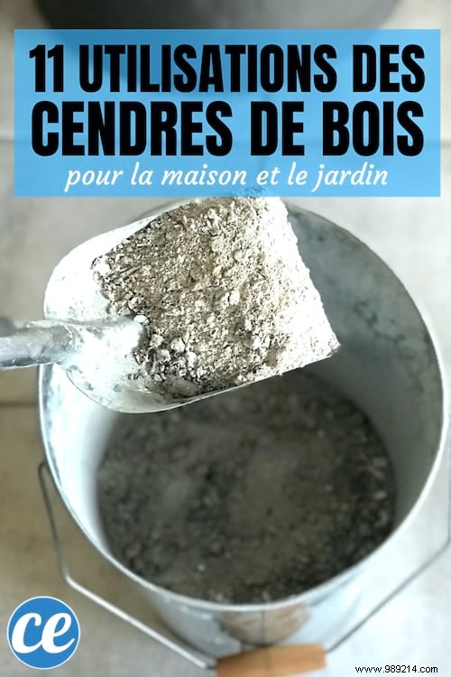 11 Proven Uses for Wood Ash: Cleaning Hacks and Gardening Tips