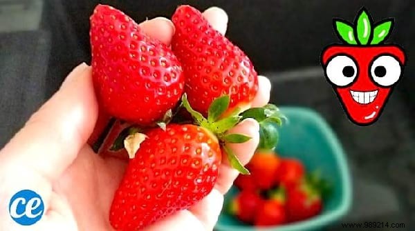 COVID-19 Essentials: How to Make, Clean, and Use Homemade Masks Safely – Expert Tips