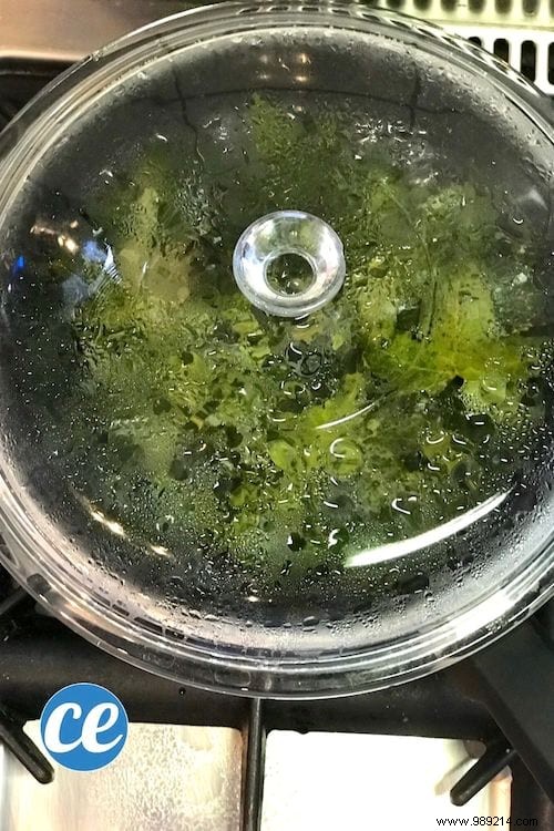 DIY Ivy Leaf Laundry Detergent: My Proven, Zero-Cost Natural Recipe