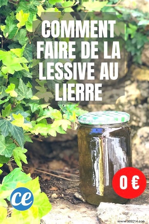 DIY Ivy Leaf Laundry Detergent: My Proven, Zero-Cost Natural Recipe