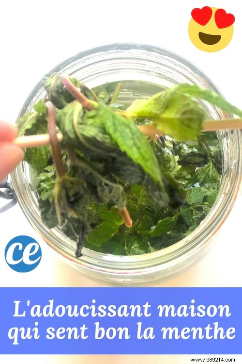 DIY Mint Fabric Softener: Achieve Ultra-Soft, Freshly Scented Laundry Naturally