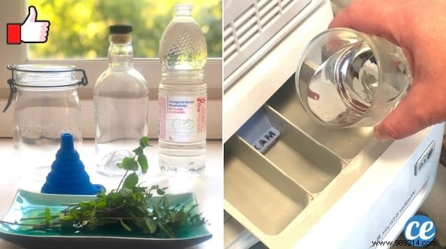 DIY Mint Fabric Softener: Achieve Ultra-Soft, Freshly Scented Laundry Naturally