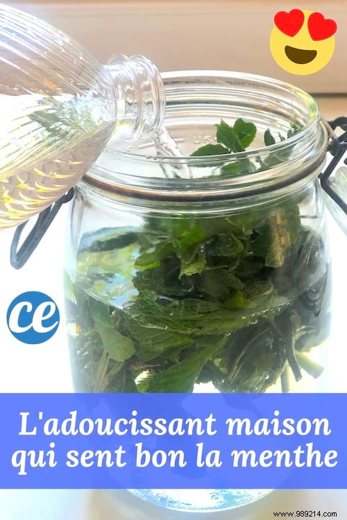 DIY Mint Fabric Softener: Achieve Ultra-Soft, Freshly Scented Laundry Naturally