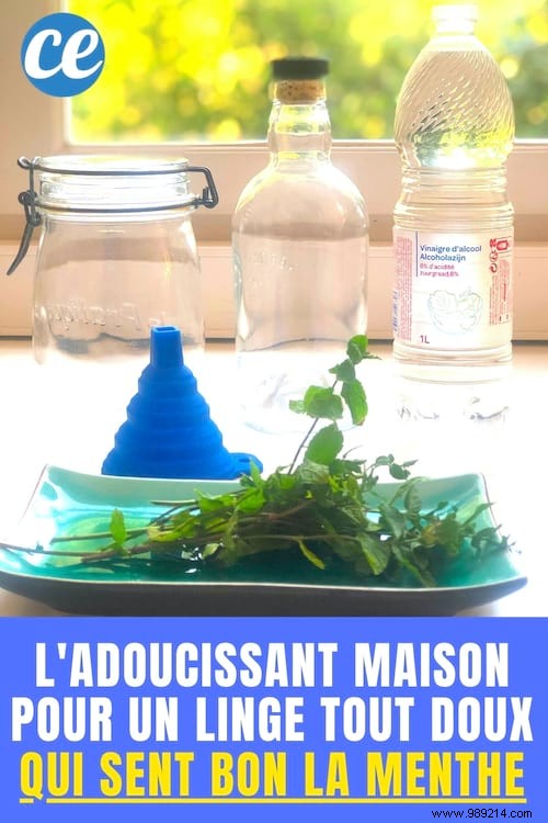 DIY Mint Fabric Softener: Achieve Ultra-Soft, Freshly Scented Laundry Naturally