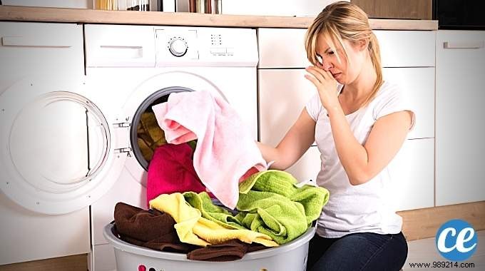 Musty Laundry After Washing? Descale Your Washing Machine with White Vinegar – Proven Fix