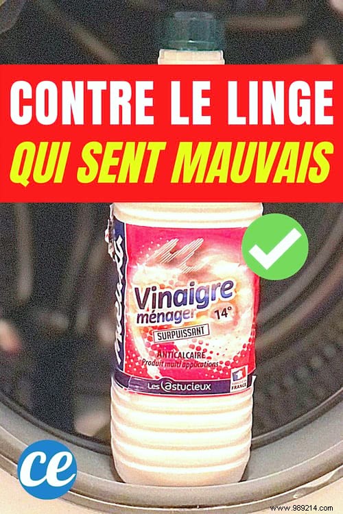 Musty Laundry After Washing? Descale Your Washing Machine with White Vinegar – Proven Fix