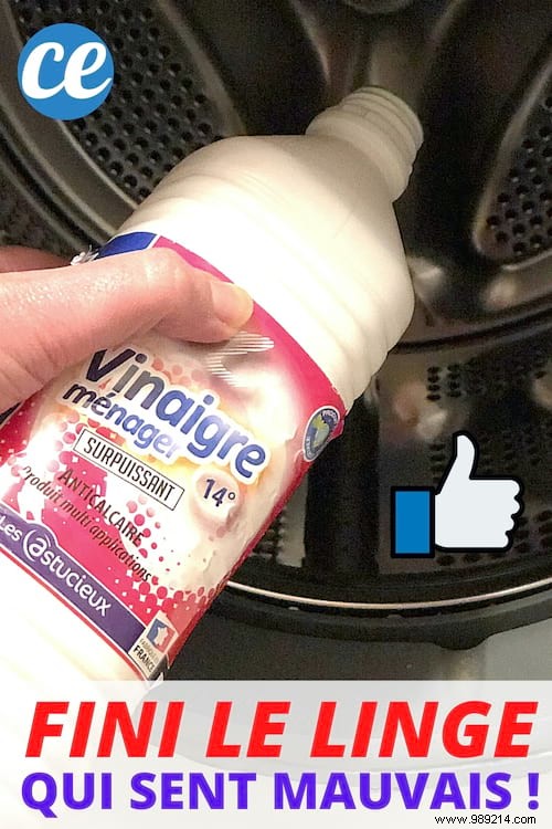 Musty Laundry After Washing? Descale Your Washing Machine with White Vinegar – Proven Fix