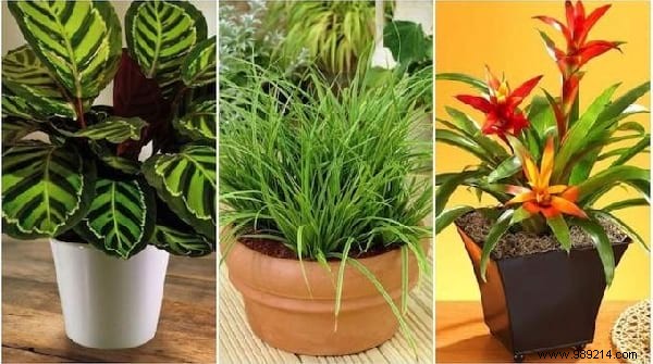 Top 25 Most-Loved Life Hacks of 2020: Our Readers  Favorites