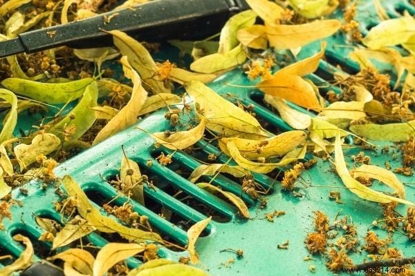 9 Common Mistakes Causing Car Humidity – Expert Tips to Prevent It