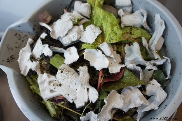 26 Ingenious Ways to Upcycle Egg Cartons: Sustainable DIY Ideas from a Zero-Waste Expert