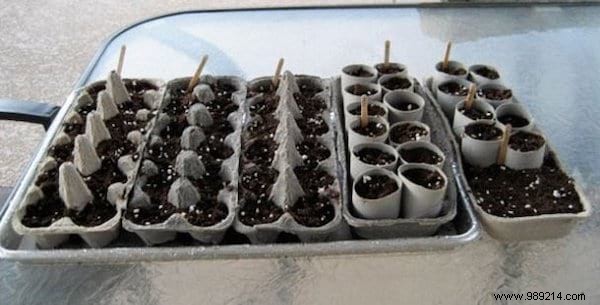 26 Ingenious Ways to Upcycle Egg Cartons: Sustainable DIY Ideas from a Zero-Waste Expert