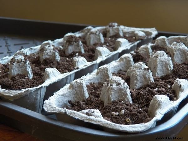 26 Ingenious Ways to Upcycle Egg Cartons: Sustainable DIY Ideas from a Zero-Waste Expert