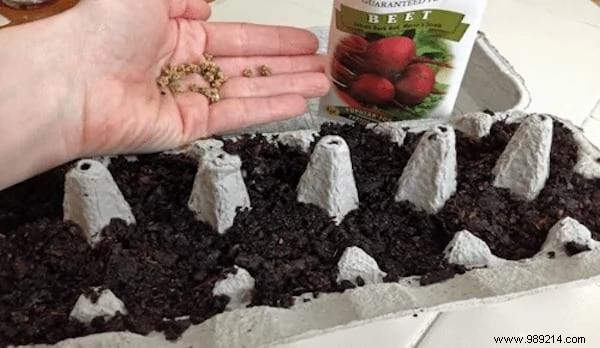 26 Ingenious Ways to Upcycle Egg Cartons: Sustainable DIY Ideas from a Zero-Waste Expert