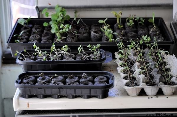 26 Ingenious Ways to Upcycle Egg Cartons: Sustainable DIY Ideas from a Zero-Waste Expert