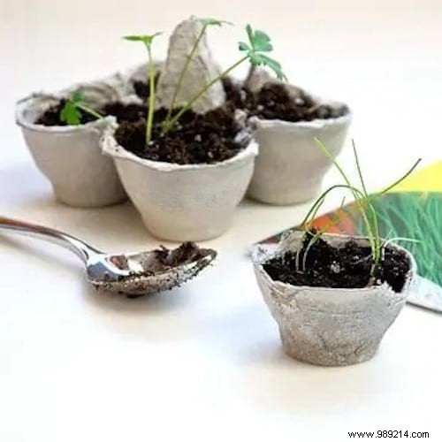26 Ingenious Ways to Upcycle Egg Cartons: Sustainable DIY Ideas from a Zero-Waste Expert
