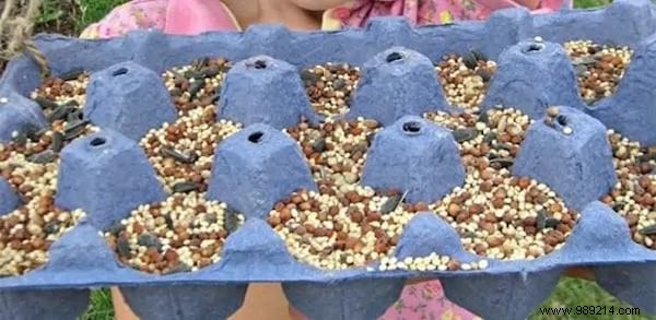26 Ingenious Ways to Upcycle Egg Cartons: Sustainable DIY Ideas from a Zero-Waste Expert